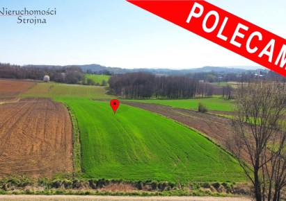 działka na sprzedaż - Biskupice (gw), Zabłocie