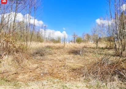 działka na sprzedaż - Biskupice (gw), Sułów