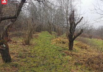 działka na sprzedaż - Wieliczka (gw), Golkowice