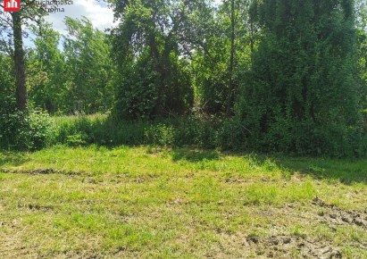 działka na sprzedaż - Biskupice (gw)