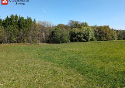 działka na sprzedaż - Wieliczka (gw), Grajów