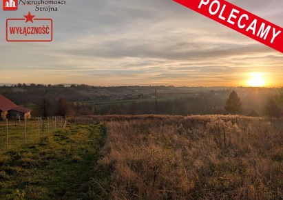 działka na sprzedaż - Wieliczka (gw), Chorągwica