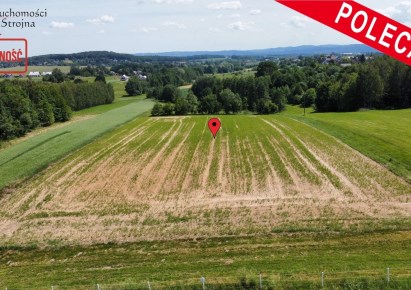 działka na sprzedaż - Biskupice (gw), Sławkowice