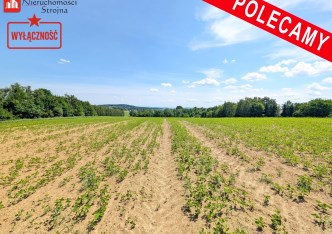 działka na sprzedaż - Biskupice (gw), Sławkowice