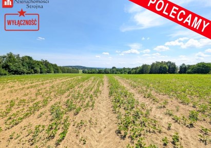 działka na sprzedaż - Biskupice (gw), Sławkowice