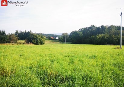 działka na sprzedaż - Wieliczka (gw), Byszyce