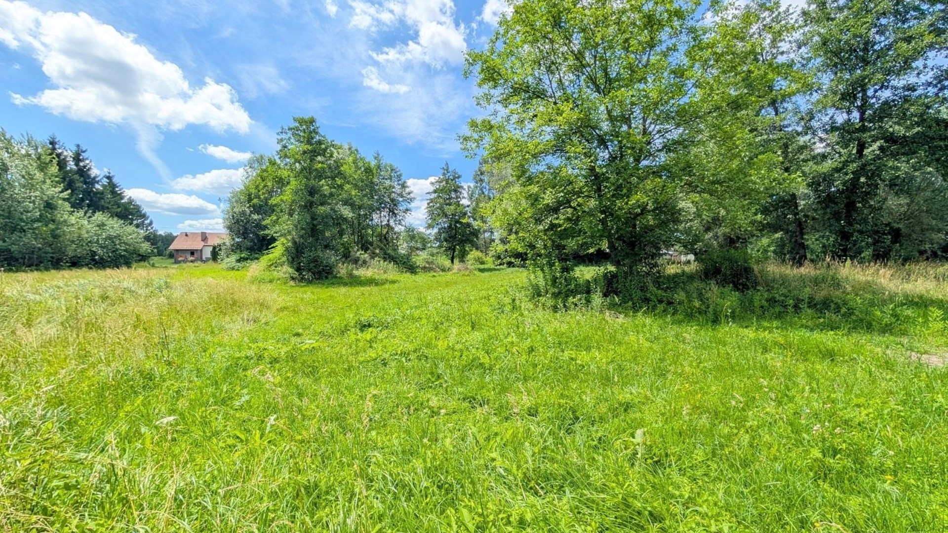 Dzialka  na sprzedaż Biskupice (gw), Zabłocie, 1437.00m², oferta STR-GS-3122