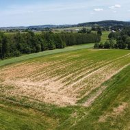 Dzialka  na sprzedaż Biskupice (gw), Sławkowice, 1200.00m², oferta STR-GS-3124