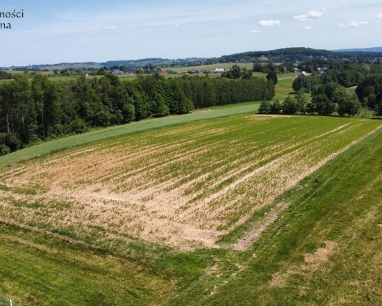 Dzialka  na sprzedaż Biskupice (gw), Sławkowice, 1200.00m², oferta STR-GS-3124
