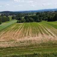 Dzialka  na sprzedaż Biskupice (gw), Sławkowice, 1200.00m², oferta STR-GS-3124
