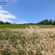 Dzialka  na sprzedaż Biskupice (gw), Sławkowice, 1200.00m², oferta STR-GS-3124