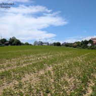 Dzialka  na sprzedaż Biskupice (gw), Sławkowice, 1200.00m², oferta STR-GS-3124