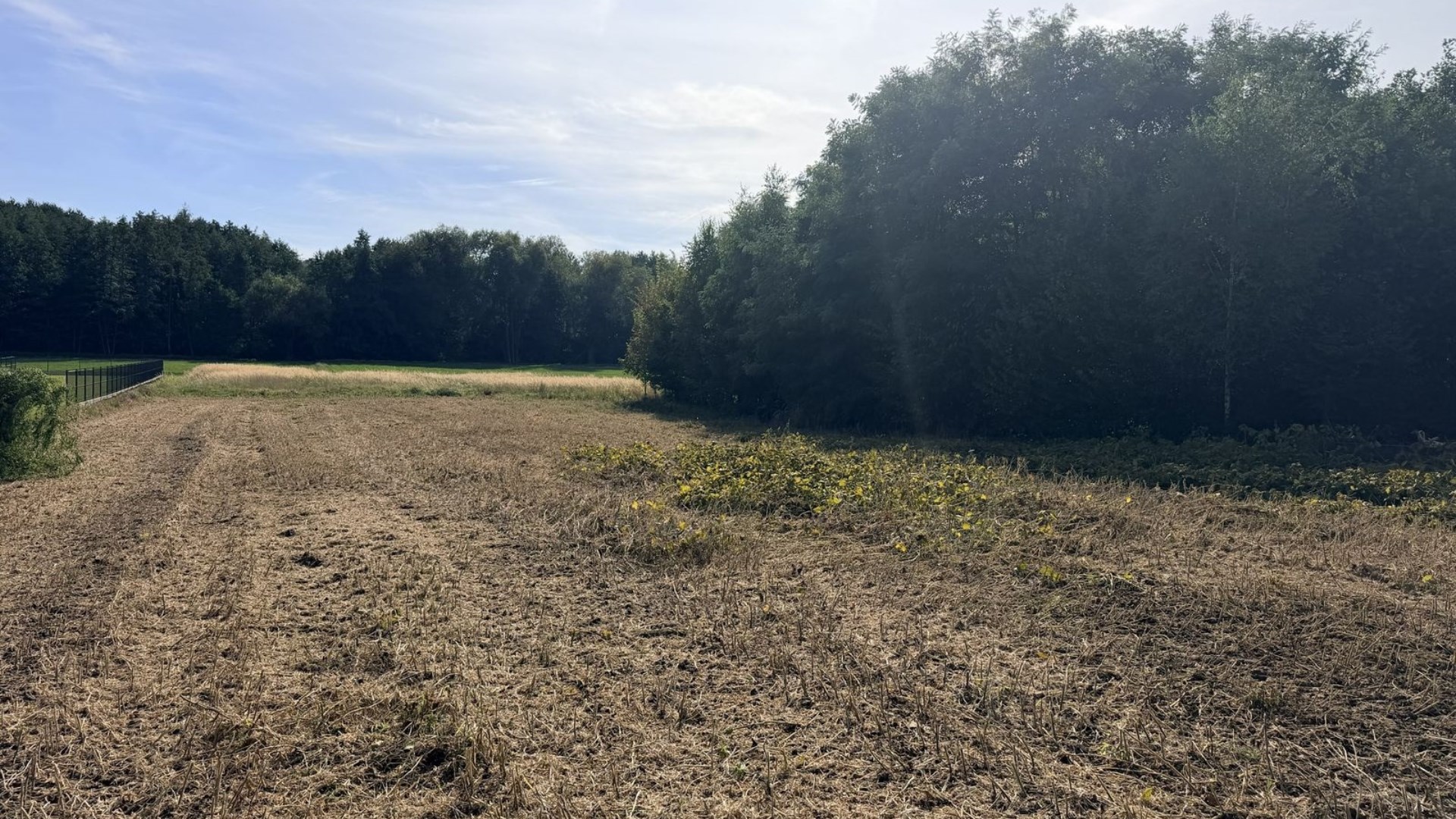 Dzialka  na sprzedaż Biskupice (gw), Trąbki, 1900.00m², oferta STR-GS-3125