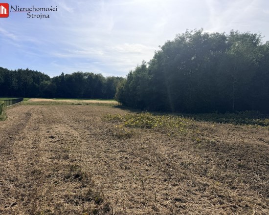 Dzialka  na sprzedaż Biskupice (gw), Trąbki, 1900.00m², oferta STR-GS-3125