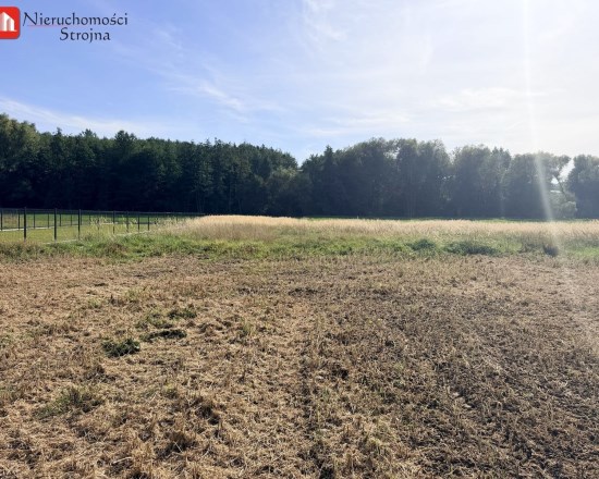 Dzialka  na sprzedaż Biskupice (gw), Trąbki, 1900.00m², oferta STR-GS-3125