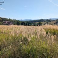 Dzialka  na sprzedaż Dobczyce (gw), Sieraków, 1000.00m², oferta STR-GS-3126