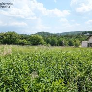 Dzialka  na sprzedaż Biskupice (gw), Tomaszkowice, 1030.00m², oferta STR-GS-3128