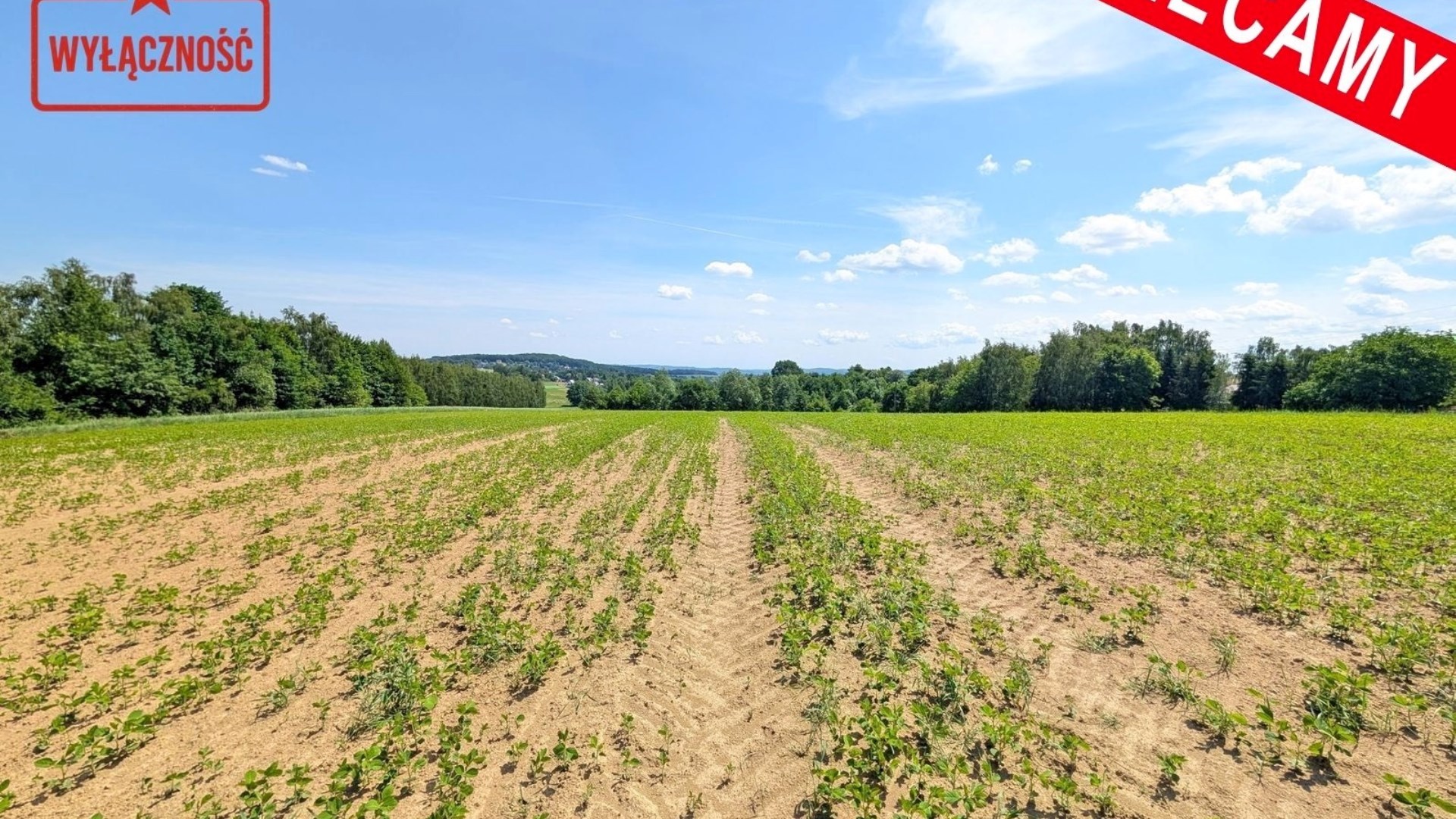 Dzialka  na sprzedaż Biskupice (gw), Sławkowice, 1300.00m², oferta STR-GS-3133