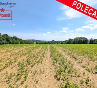 Dzialka  na sprzedaż Biskupice (gw), Sławkowice, 1300.00m², oferta STR-GS-3133