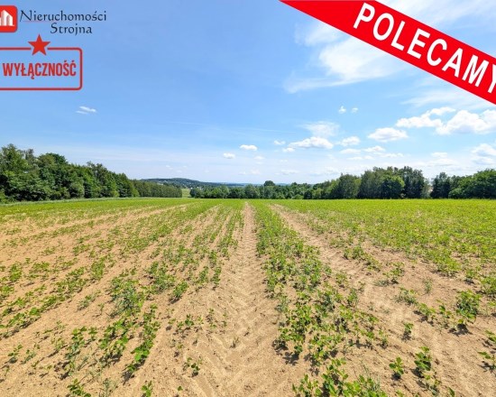 Dzialka  na sprzedaż Biskupice (gw), Sławkowice, 1300.00m², oferta STR-GS-3133