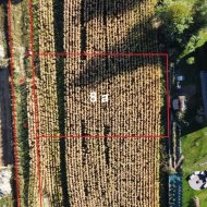 Dzialka  na sprzedaż Niepołomice (gw), Zagórze, 800.00m², oferta STR-GS-3134