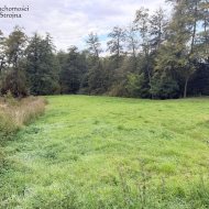 Dzialka  na sprzedaż Biskupice (gw), Zabłocie, 3000.00m², oferta STR-GS-3135