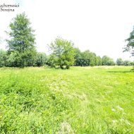 Dzialka  na sprzedaż Biskupice (gw), Zabłocie, 2740.00m², oferta STR-GS-3136