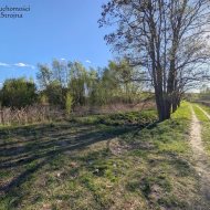 Dzialka  na sprzedaż Kraków, Dębniki, 7243.00m², oferta STR-GS-3144
