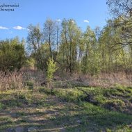 Dzialka  na sprzedaż Kraków, Dębniki, 7243.00m², oferta STR-GS-3144