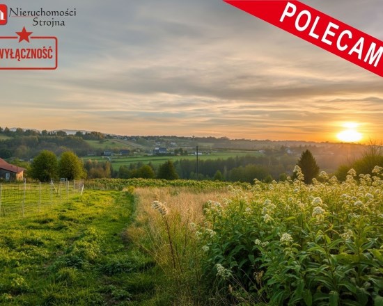 Dzialka  na sprzedaż Wieliczka (gw), Chorągwica, 2703.00m², oferta STR-GS-3146