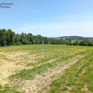 Dzialka  na sprzedaż Biskupice (gw), Sławkowice, 2500.00m², oferta STR-GS-3152