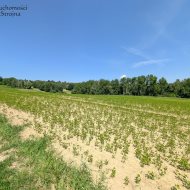 Dzialka  na sprzedaż Biskupice (gw), Sławkowice, 2500.00m², oferta STR-GS-3152